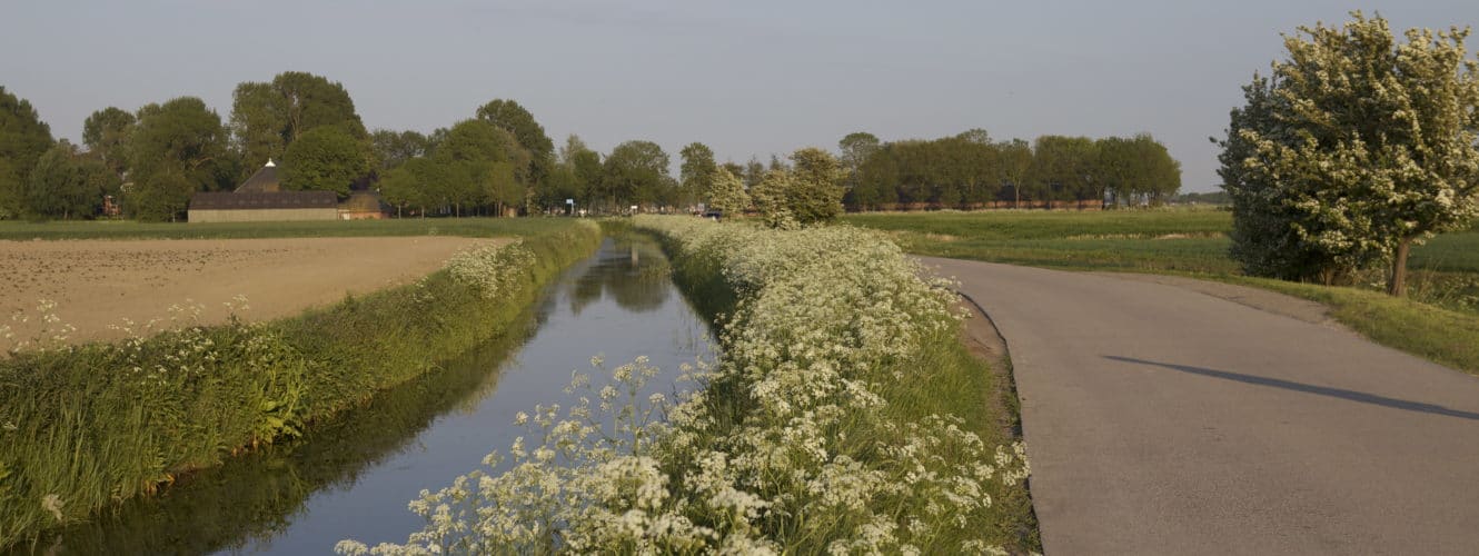 Voorjaar op het Hoogeland